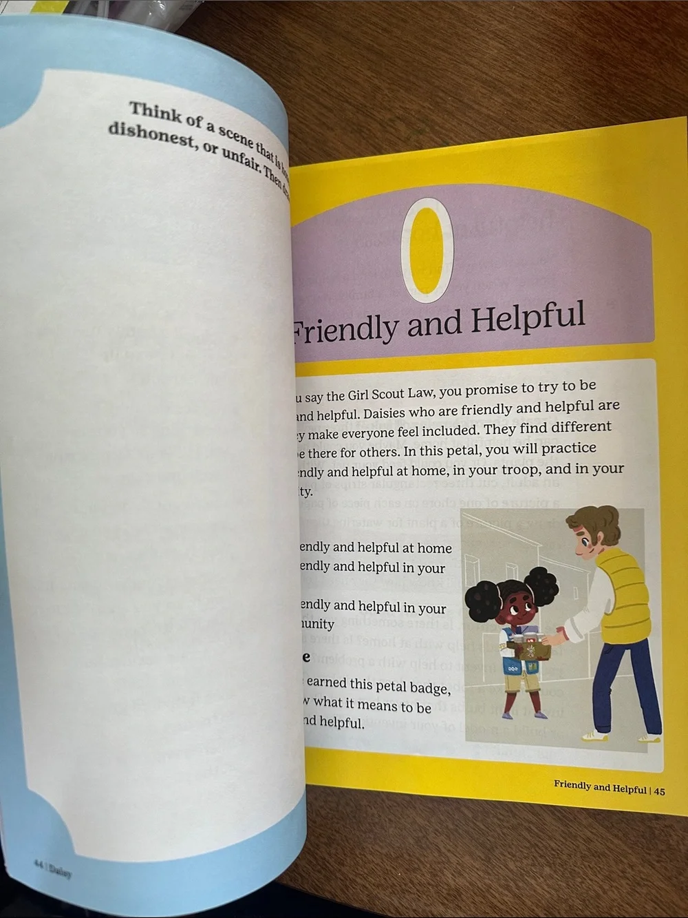 Daisy Handbook - like new, only 2 pages out/used.